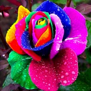 Welcome to my Poshmark! Feel free to bundle up… if U will please share something